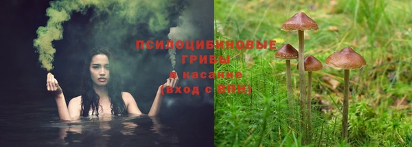 ECSTASY Абдулино