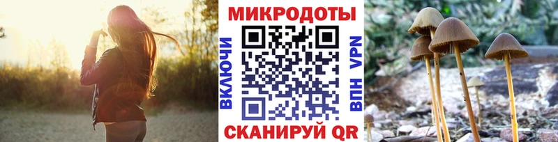 Галлюциногенные грибы GOLDEN TEACHER  сколько стоит  Алапаевск 